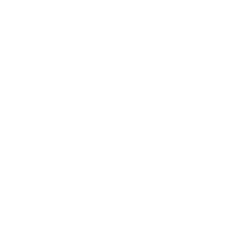 Brautmacherei - Transparentes Logo, Brautmodengeschäft, Traumkleid